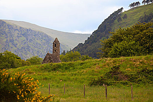 石头,建筑,塔,6世纪,场所,威克洛郡,爱尔兰