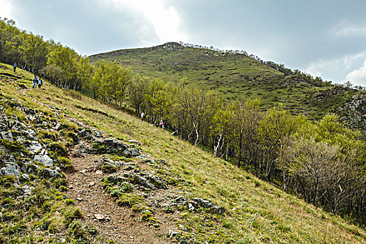 东灵山