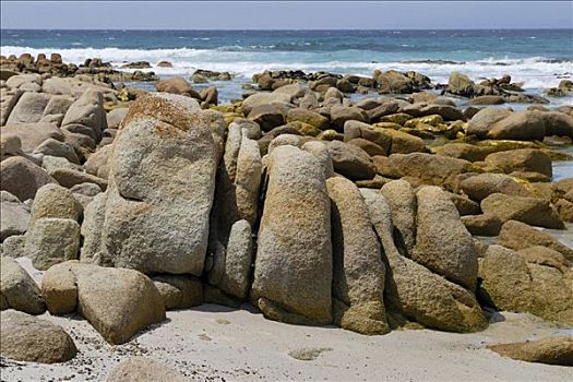 岩石构造,友好,海滩,湾,塔斯马尼亚,澳大利亚