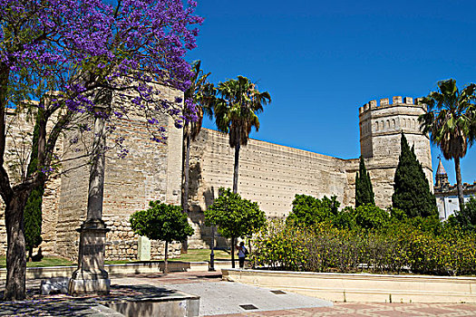 城堡,安达卢西亚,西班牙,欧洲