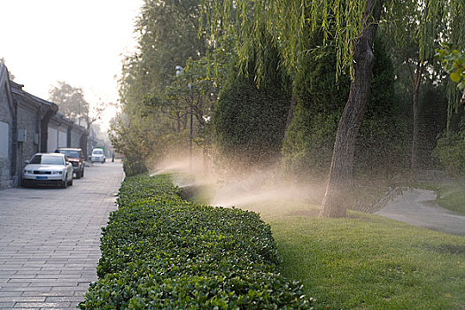 北京城市绿化