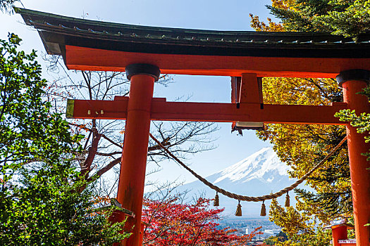 日本寺庙,山,富士山