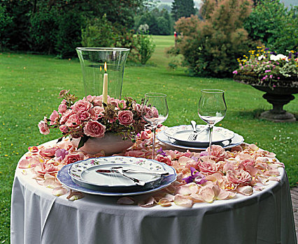 浪漫,桌子,玫瑰花瓣,安放,玫瑰,花园