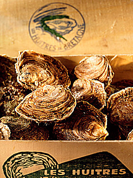 牡蛎,木盒