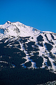 黑梳山,滑雪胜地,不列颠哥伦比亚省,加拿大