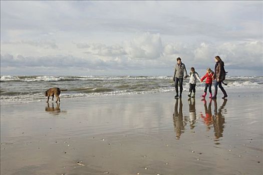 家庭,狗,海洋