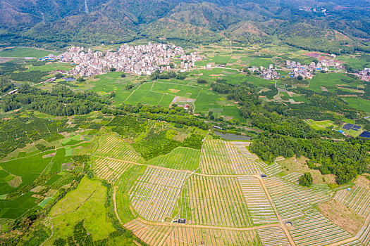 广西梧州,田园风光美