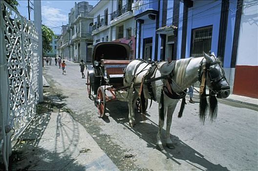 古巴,哈瓦那,马车,街道