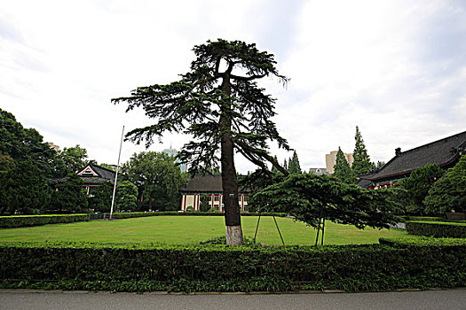 南京师范大学