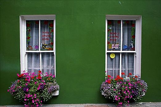植物,窗台花箱,科克郡,爱尔兰
