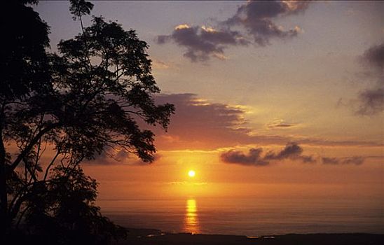 夏威夷,夏威夷大岛,科纳海岸,日落,上方,海洋,剪影,树,前景