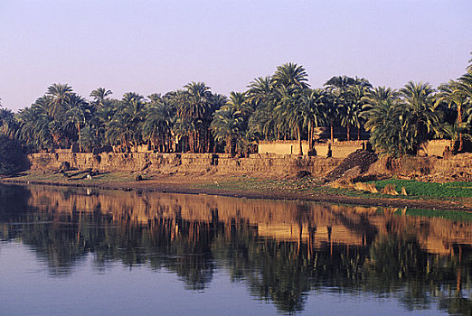 埃及,尼罗河,路克索神庙,丹达拉,反射