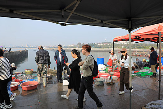 山东省日照市,渔船回港,市民逛渔码头淘鲜