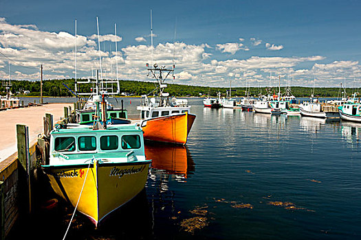 渔船,捆绑,中心,港口,码头,新斯科舍省,加拿大