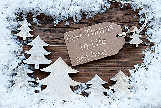 标签,圣诞树,雪,最好,事物,生活,自由