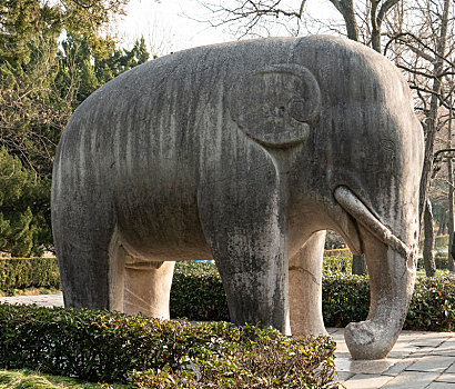 南京明孝陵石象路景区石象雕塑