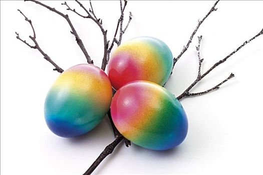 彩色,涂绘,复活节彩蛋,柳树,细枝