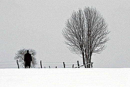 孤单,男人,黑色,走,雪