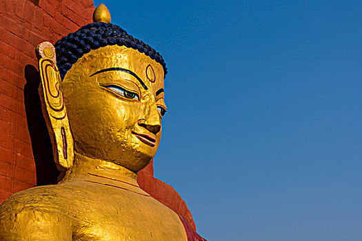 头部,佛,雕塑,庙宇,加德满都,尼泊尔,亚洲