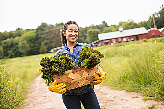 工作,有机农场,女人,拿着,篮子,满,翠绿,蔬菜,新鲜