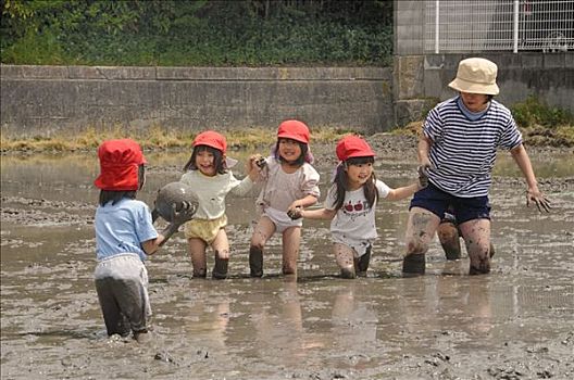 教育,幼儿园,孩子,涉水,洪水,稻田,靠近,京都,关西,日本,亚洲