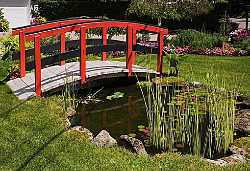 红色,黑色,步行桥,上方,水塘,风景,花园,魁北克,加拿大