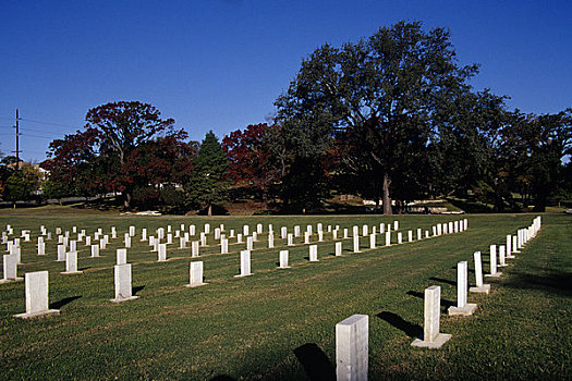 墓碑,墓地,德克萨斯,美国