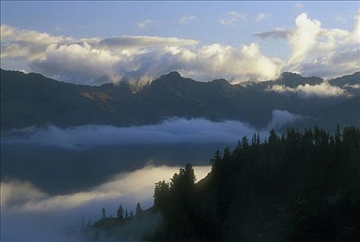 反射,山峦,水中,艺术家,华盛顿,路线,山,国家森林,美国