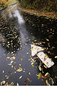 箭頭,彎路