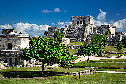 遗址,玛雅,庙宇,地面,尤卡坦半岛,墨西哥