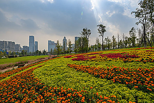 花园城市