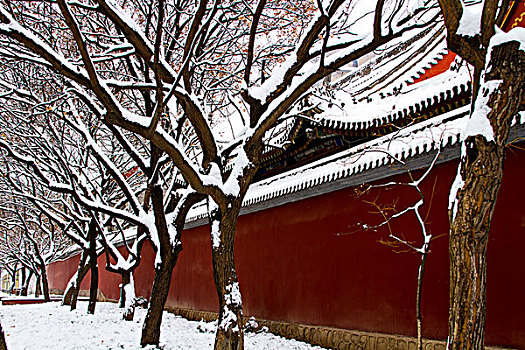 城市雪景