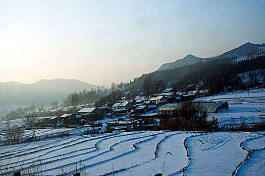 雪野,北方,东北,大雪,原野,土地,冬季,洁白,干净,风景,村庄,农村