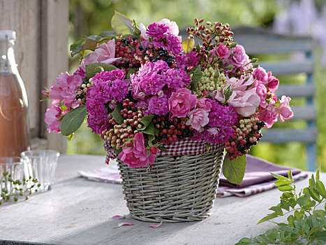 粉色,玫瑰,荚莲属植物,马樱丹属,水果,茎,安放