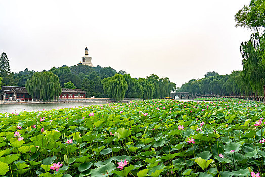 北京北海公园风光