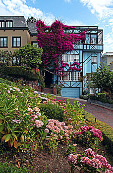 旧金山九曲花街,lombardstreet