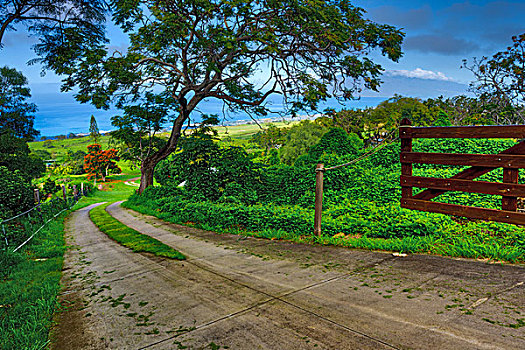 土路,通过,风景,哈雷阿卡拉火山,毛伊岛,夏威夷,美国