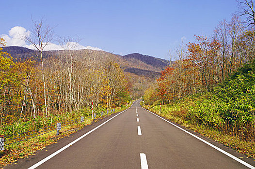 笔直,道路,晚秋