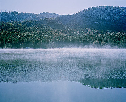 雾,湖