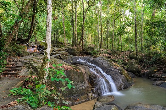 常绿植物,树林,瀑布,泰国