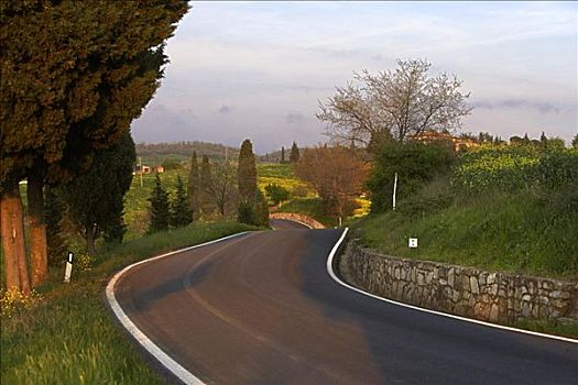 道路,靠近,托斯卡纳,意大利