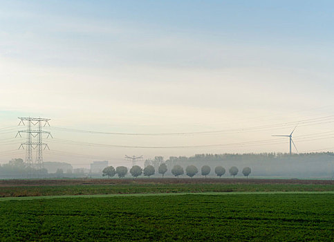 风景,风轮机,电线,雾状,早晨,荷兰