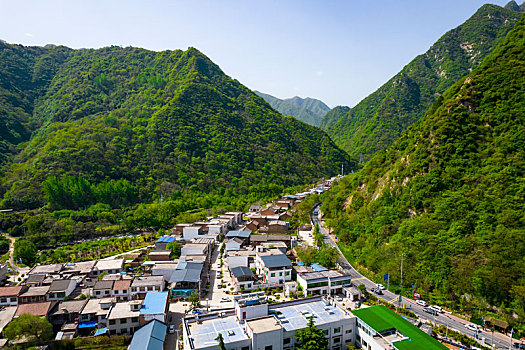 秦岭山春色