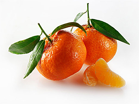 两个,克莱门氏小柑橘,叶子,局部