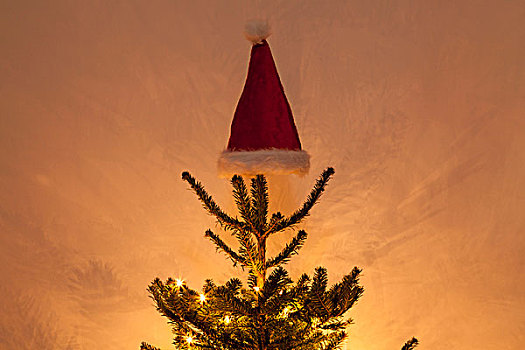 帽,上面,圣诞树