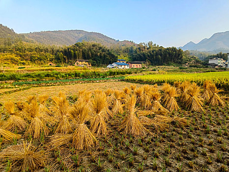 山野乡村,田园风光