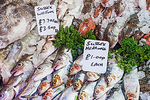 英格兰,伦敦,南华克,博罗市场,鱼肉,货摊,展示,青鱼