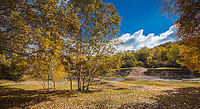 坝上草原秋季风光塞罕坝乌兰布统木兰围场风景