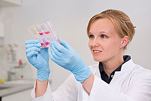 女性,科学家,实验室,检查,细胞,盘子
