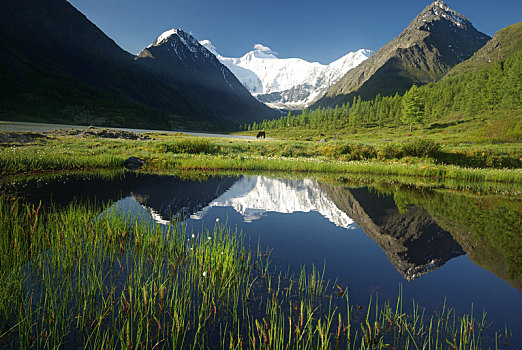 漂亮,山景,靠近,湖,高山湖,山地,水,山谷